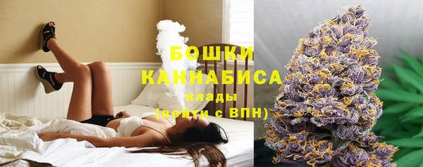 ешки Новозыбков