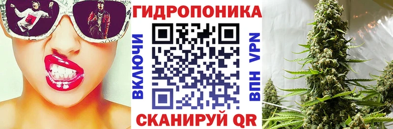 Бошки Шишки планчик  KRAKEN   Усинск 